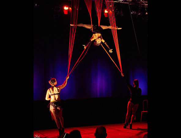 Aerialists Brisbane - Trapeze Artists - Aerial Entertainment Performers